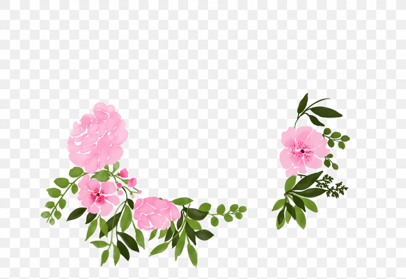 Garden Roses, PNG, 1920x1320px, Garden Roses, Cabbage Rose, Cut Flowers, Floral Design, Flower Download Free
