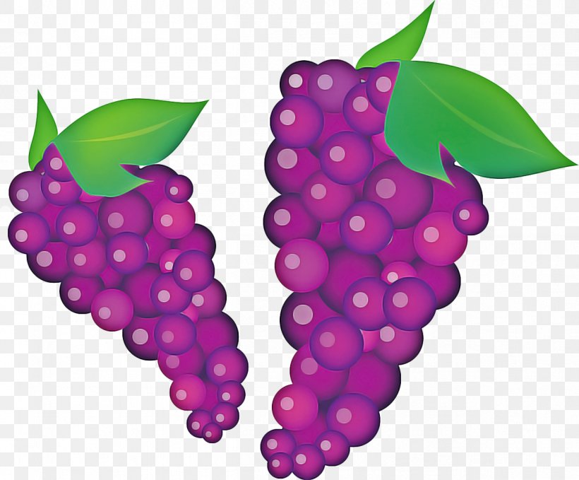 Pink Flower Cartoon, PNG, 1259x1044px, Common Grape Vine, Accessory Fruit, Berries, Berry, Flower Download Free