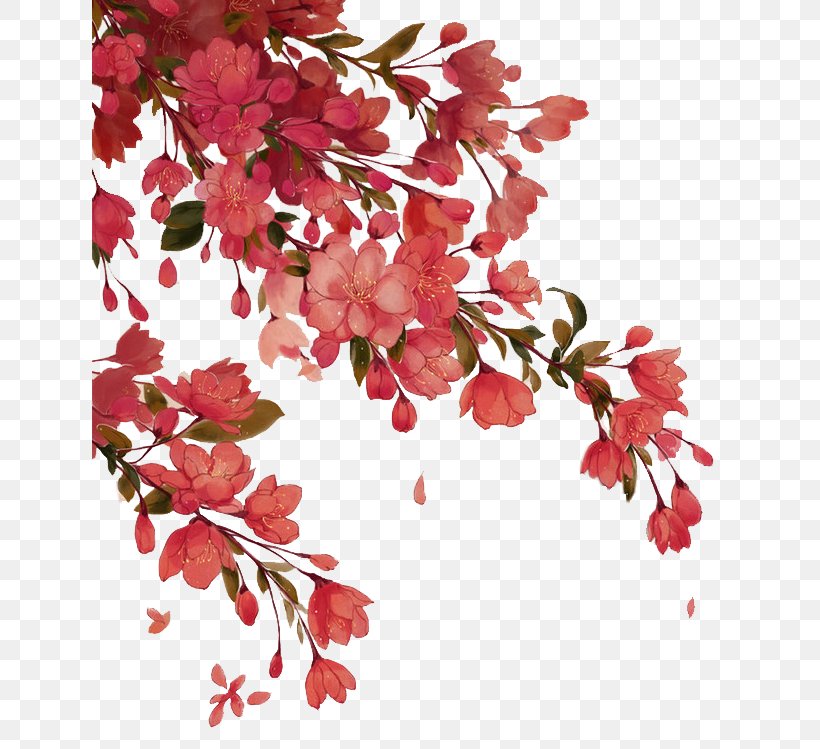 Red Begonia, PNG, 636x749px, Red, Begonia, Blossom, Branch, Chart Download Free