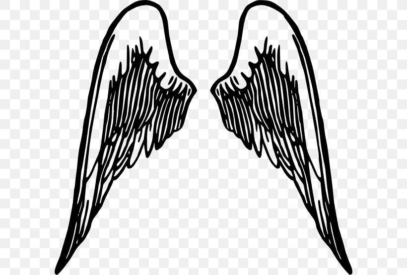 Clip Art, PNG, 600x554px, Thumbnail, Angel, Artrage, Beak, Black And White Download Free