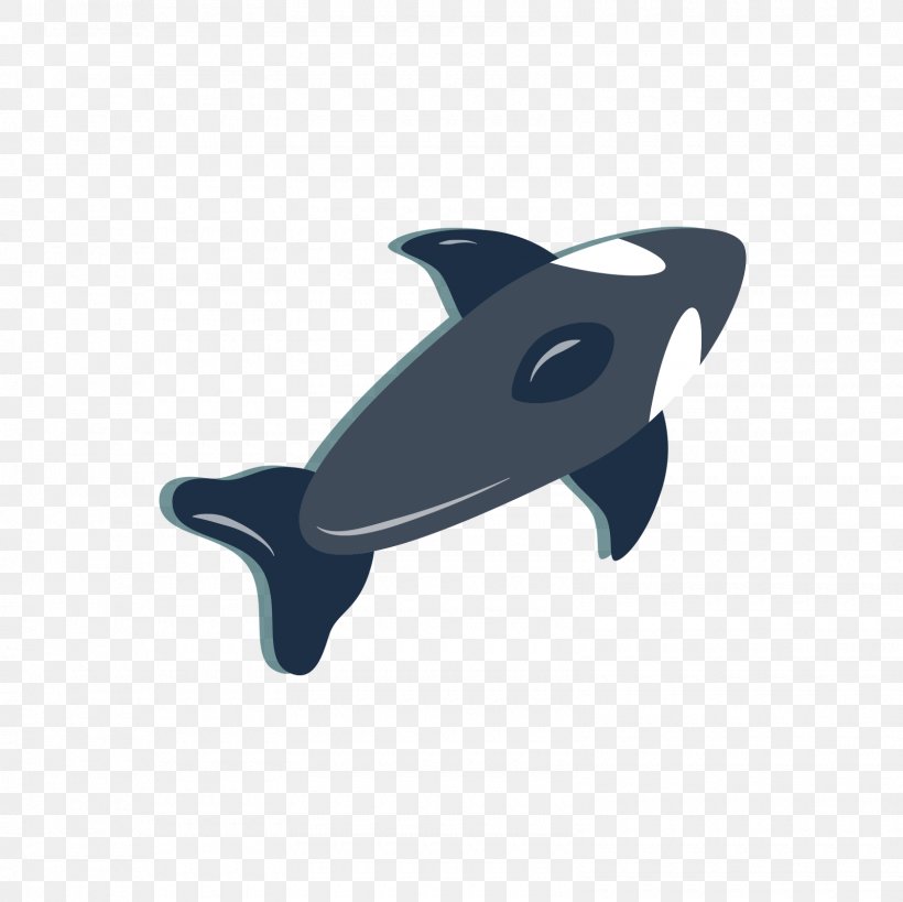 Dolphin Toy Blue, PNG, 1600x1600px, Dolphin, Blue, Chilean Dolphin, Designer, Electric Blue Download Free