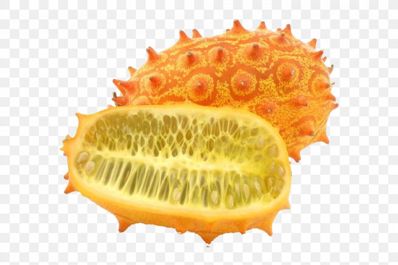 Horned Melon Muskmelon Stock Photography, PNG, 1000x667px, Horned Melon, Auglis, Can Stock Photo, Copyright, Cucumber Gourd And Melon Family Download Free
