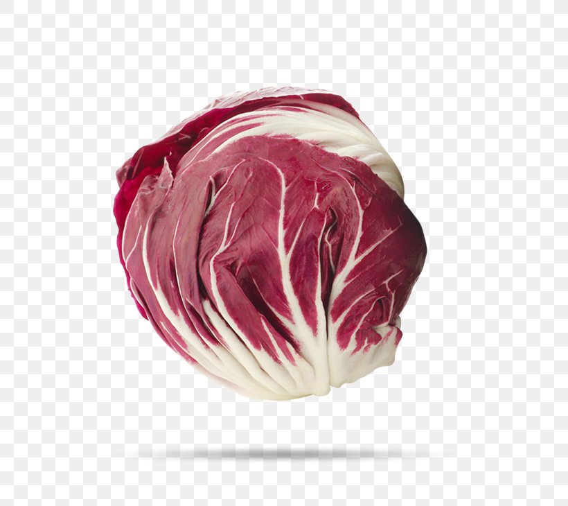 Radicchio Pink M, PNG, 600x730px, Radicchio, Food, Leaf Vegetable, Magenta, Pink Download Free