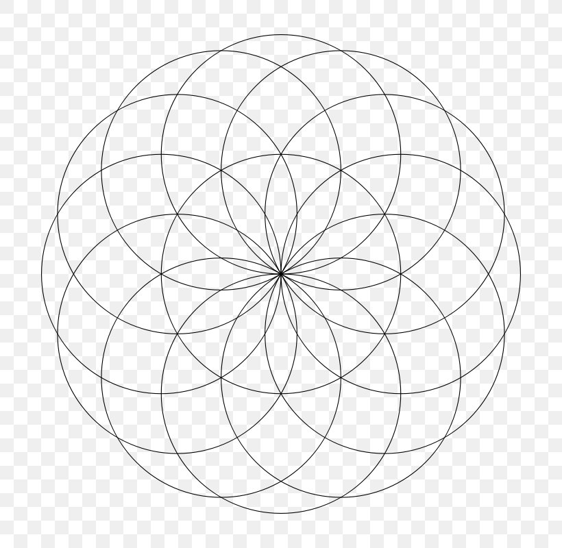 Circle Point Angle White, PNG, 800x800px, Point, Area, Black And White, Drawing, Line Art Download Free