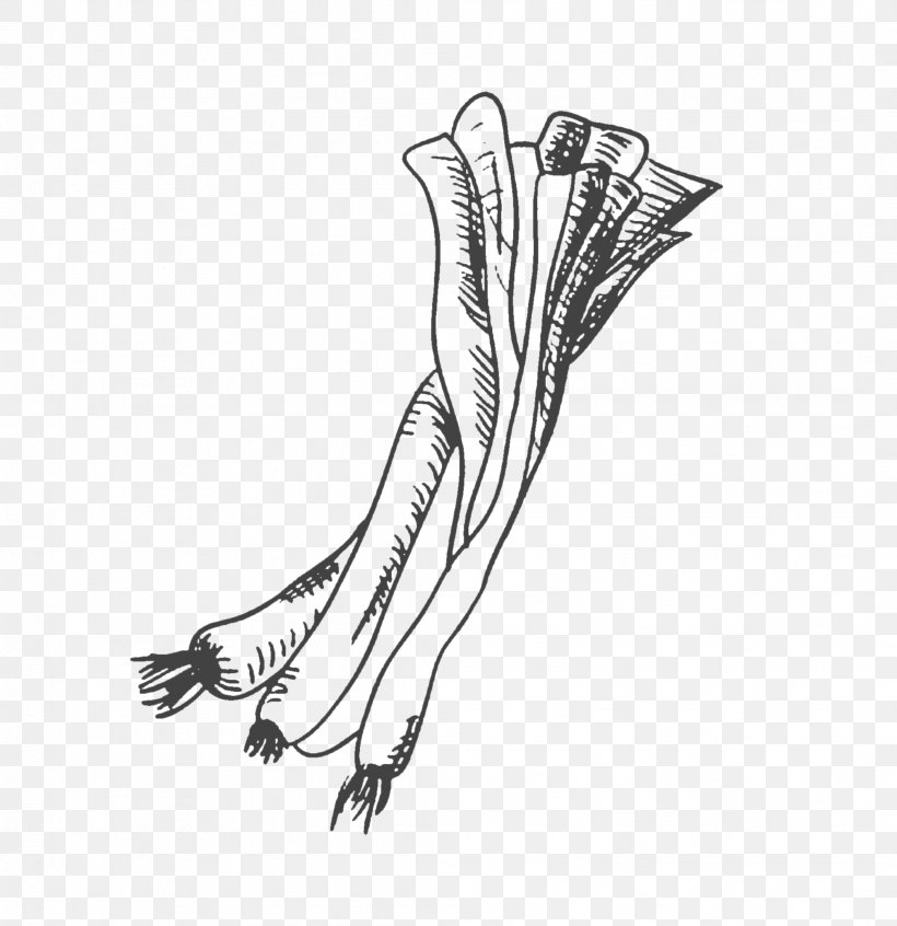 Drawing Vegetable Allium Fistulosum Scallion, PNG, 2121x2190px, Drawing, Allium Fistulosum, Arm, Black And White, Chives Download Free