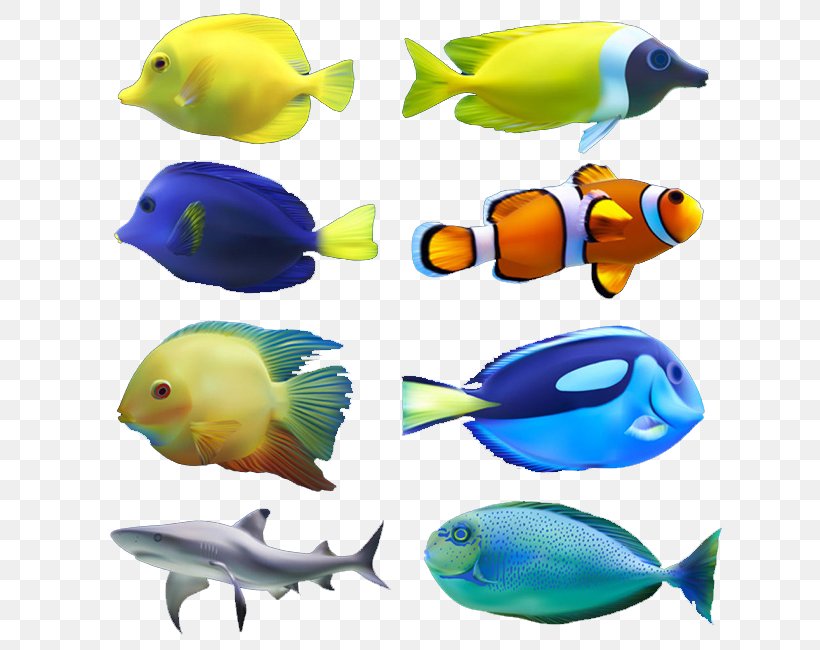 Euclidean Vector Fish Computer File, PNG, 650x650px, Fish, Beak, Coral Reef Fish, Fauna, Freshwater Aquarium Download Free