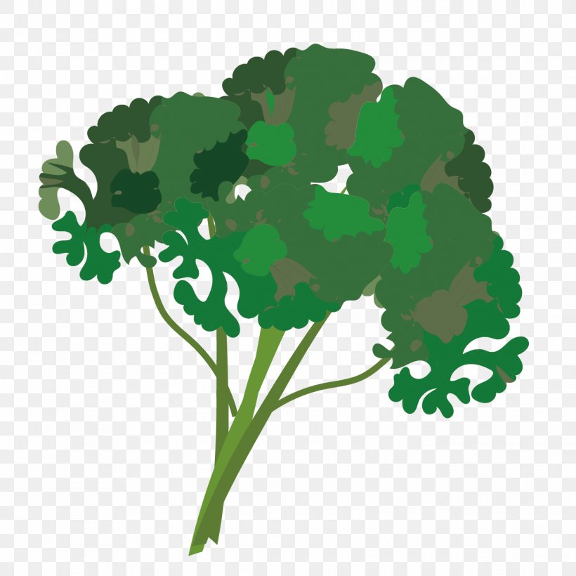 Leaf Vegetable Parsley Herb, PNG, 1321x1321px, Leaf Vegetable, Condominium, Cooking, Cuisine, Flowering Plant Download Free