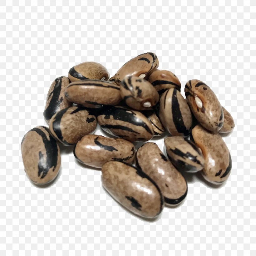 Pinto Bean Vegetarian Cuisine Refried Beans Heirloom Beans Black Turtle Bean, PNG, 2111x2111px, Pinto Bean, Bean, Black Turtle Bean, Cocoa Bean, Commodity Download Free