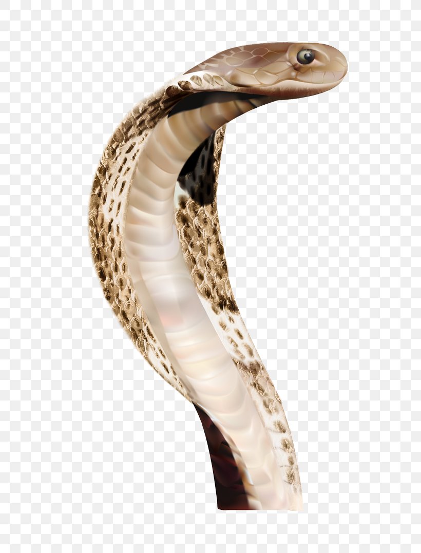 Snake Clip Art, PNG, 700x1077px, Snake, Anaconda, Cobra, Elapidae, Hognose Snake Download Free