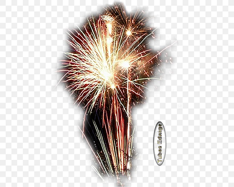 Fireworks Explosive Material Web Hosting Service New Year, PNG, 474x655px, 2018, Fireworks, Accommodation, Event, Explosion Download Free