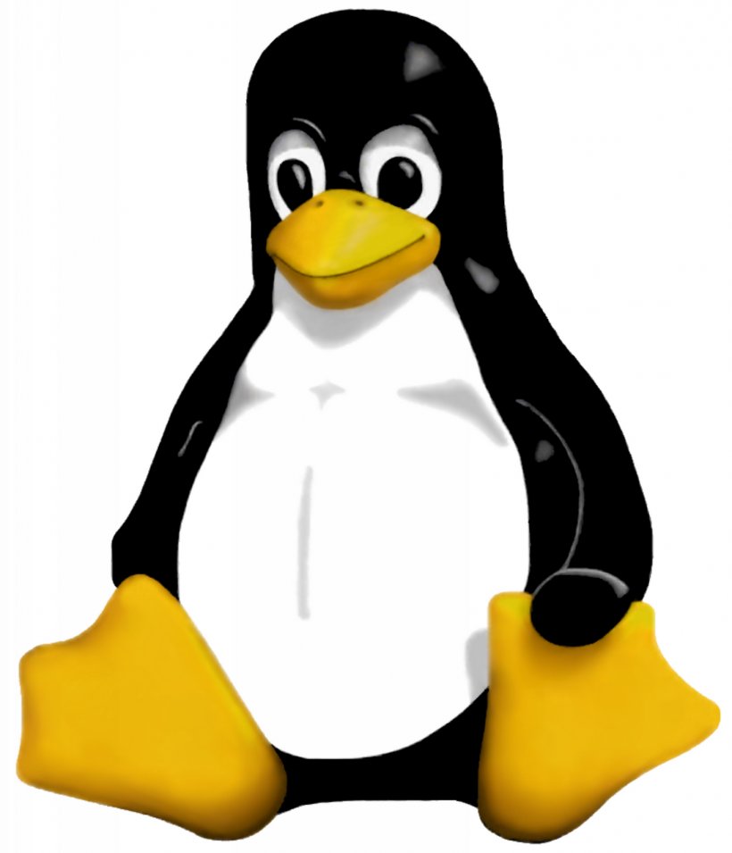 Penguin Tux Linux Operating Systems Computer Software, PNG, 1373x1600px, Penguin, Beak, Bird, Computer Software, Emperorlinux Download Free