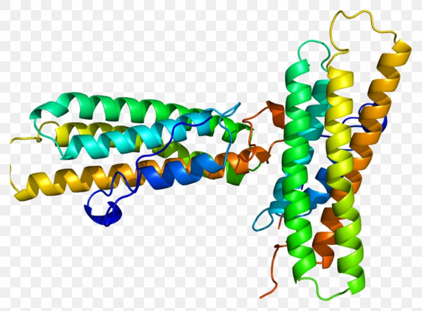 Vinculin Talin Protein Alpha Helix Catenin, PNG, 970x718px, Vinculin, Alpha Helix, Bead, Binding Site, Body Jewelry Download Free