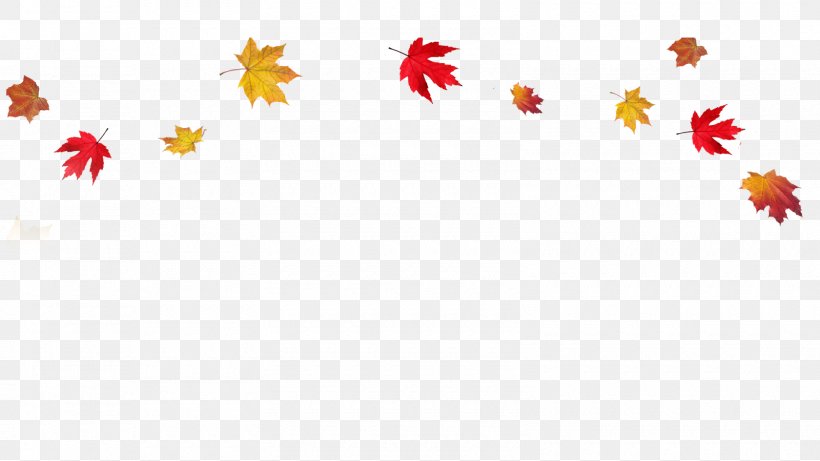 Autumn Leaf Color Clip Art, PNG, 1600x900px, Autumn Leaf Color, Autumn, Display Resolution, Document, Leaf Download Free