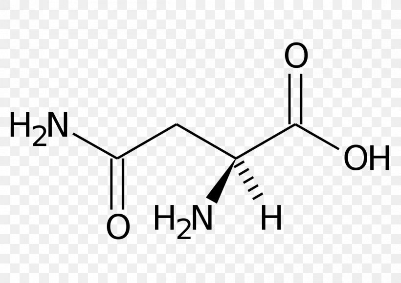 Chemical Formula Asparagine Amino Acid Structural Formula, PNG, 1200x849px, Chemical Formula, Acid, Amino Acid, Area, Asparagine Download Free