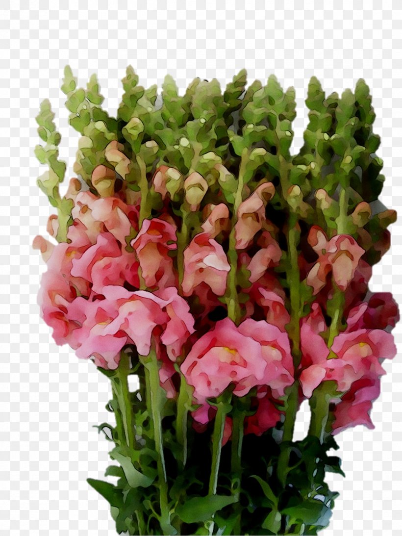 Cut Flowers Floral Design Flower Bouquet Annual Plant, PNG, 1071x1428px, Cut Flowers, Annual Plant, Anthurium, Artificial Flower, Bouquet Download Free