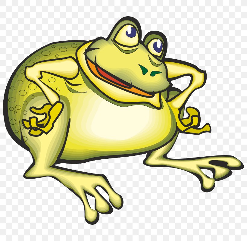 Toad True Frog Tree Frog Clip Art, PNG, 800x800px, Toad, Amphibian, Amphibians, Animal, Art Download Free
