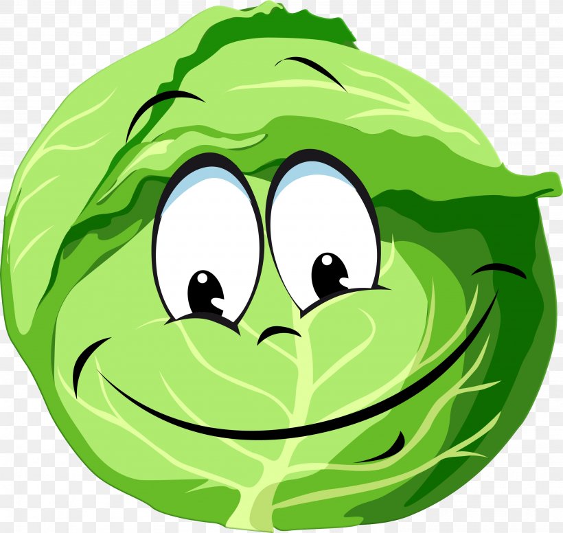 Cabbage Vegetable User Profile Clip Art, PNG, 2974x2817px, Cabbage, Amphibian, Ball, Blog, Brassica Download Free