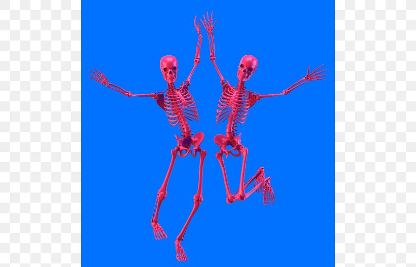 Skull Skeleton, PNG, 500x527px, Skull, Arm, Avatar, Blog, Gimp Download Free