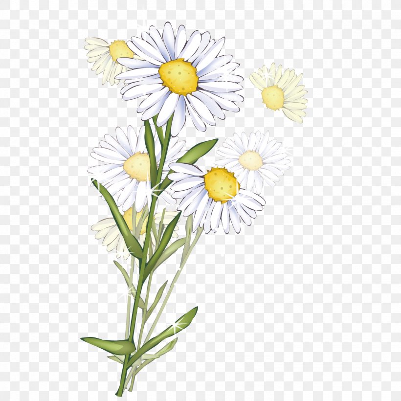 Common Daisy Transvaal Daisy Flower Clip Art, PNG, 1500x1501px, Watercolor,  Cartoon, Flower, Frame, Heart Download Free