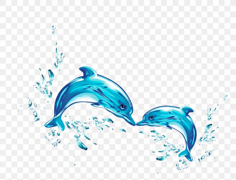 Dolphin Water Wallpaper, PNG, 876x667px, Dolphin, Aqua, Aquatic Animal, Azure, Blue Download Free