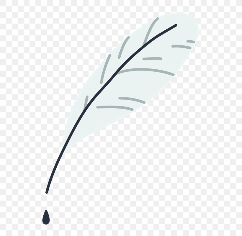 Feather, PNG, 600x800px, Angle, Biology, Feather, Geometry, Leaf Download Free