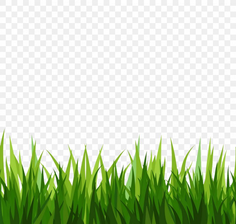 Free Content Clip Art, PNG, 1300x1232px, Free Content, Black, Blog, Grass, Grass Family Download Free