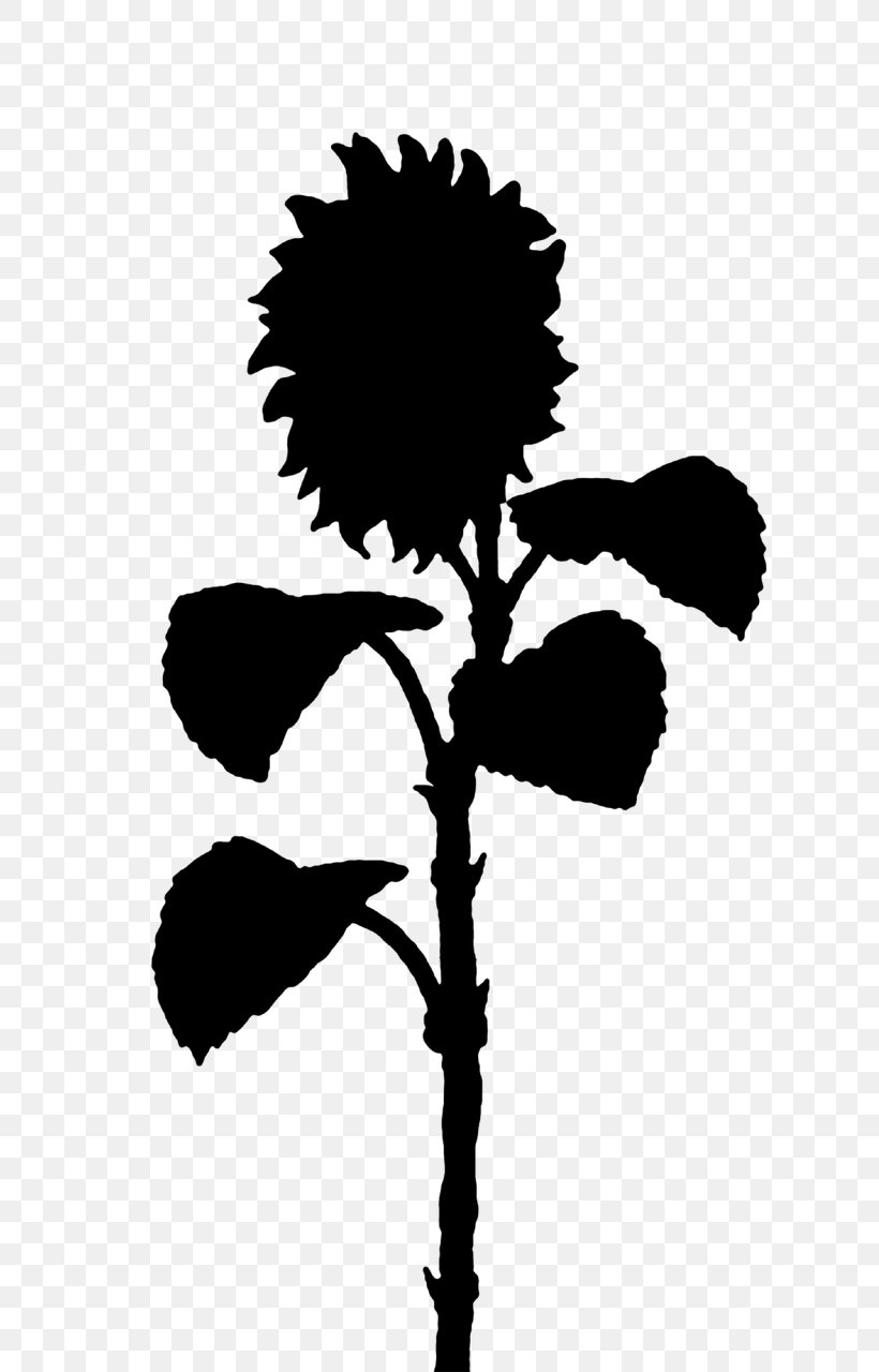 Silhouette, PNG, 661x1280px, Silhouette, Black And White, Branch, Common Sunflower, Flower Download Free