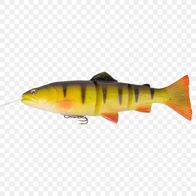 Trout Fishing Baits & Lures Perch, PNG, 3000x3000px, Trout, Angling, Bait, Bass, Bony Fish Download Free