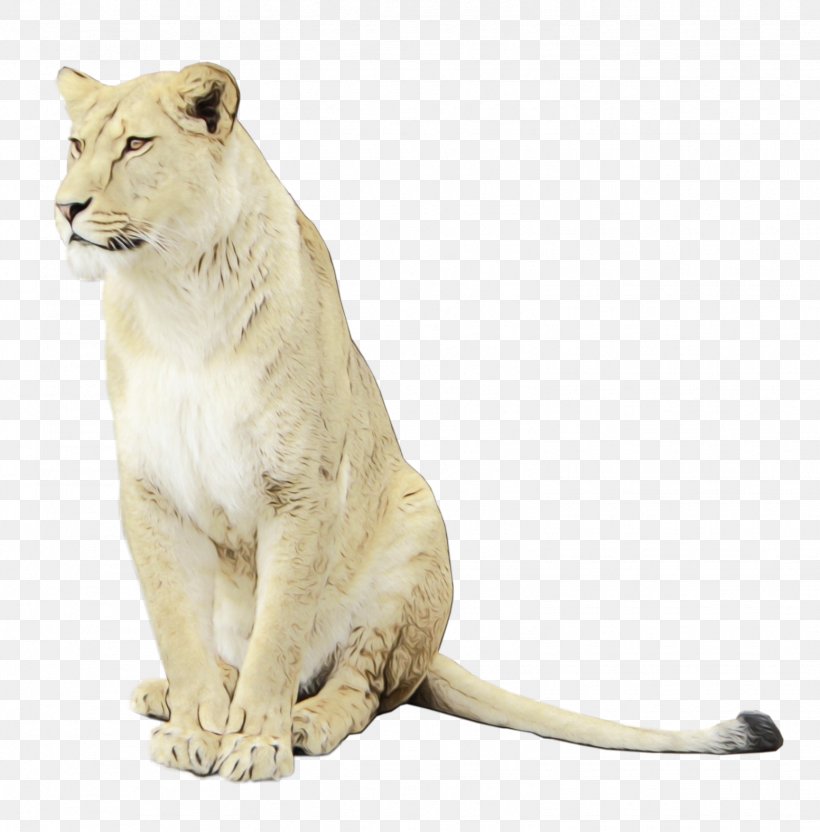 Clip Art East African Lion Image, PNG, 1552x1576px, East African Lion, Animal, Animal Figure, Big Cats, Carnivore Download Free