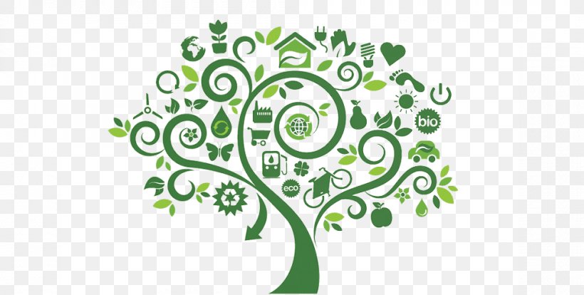 Ecology Ecosystem Clip Art, PNG, 1000x506px, Ecology, Branch, Ecosystem, Ecosystem Ecology, Flora Download Free
