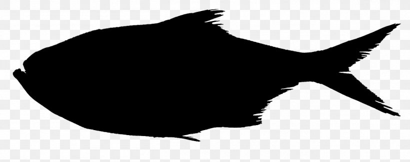 Grouper Triso Dermopterus Whiskers Sina Weibo Dog, PNG, 1306x518px, Grouper, Beak, Black, Black M, Blackandwhite Download Free