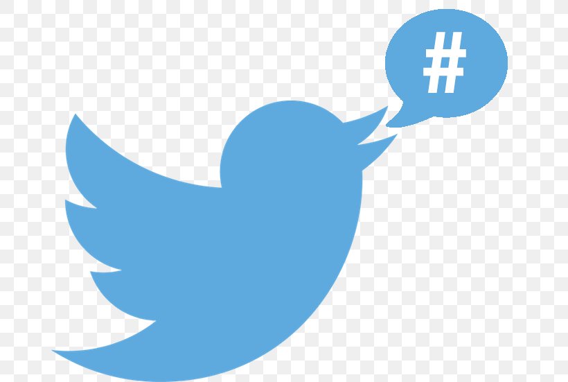 Hashtag Social Media Social Networking Service, PNG, 671x551px, Hashtag, Advertising, Azure, Beak, Bird Download Free