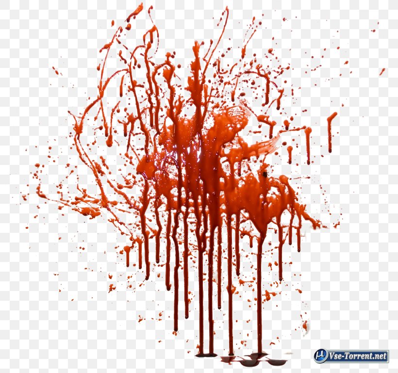 Clip Art Image Adobe Photoshop Photograph, PNG, 800x769px, Tutorial, Blood, Branch, Editing, Presentation Download Free