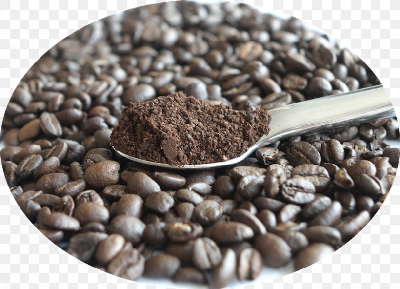 Jamaican Blue Mountain Coffee Superfood, PNG, 838x606px, Jamaican Blue Mountain Coffee, Bean, Caffeine, Instant Coffee, Seed Download Free