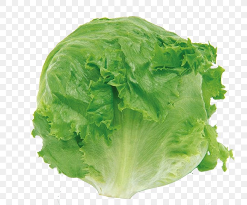 Vegetable Chanpuru016b Fruit Lettuce Cabbage, PNG, 815x681px, Vegetable, Budi Daya, Cabbage, Chinese Cabbage, Cooking Download Free