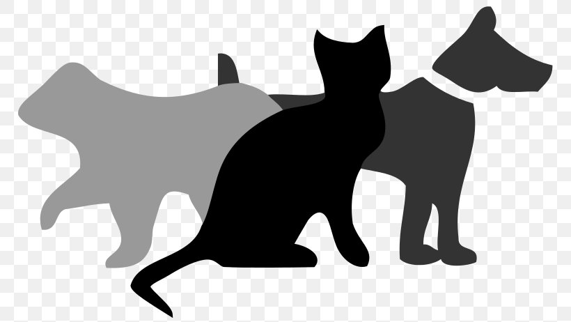 Warriors Bluestar's Prophecy Cat Wikipedia Clip Art, PNG, 800x462px, Warriors, Black, Black And White, Black Cat, Bluestar Download Free