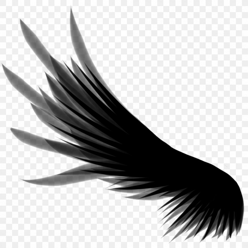 Wing Clip Art, PNG, 1000x1000px, Wing, Beak, Black And White, Brush, Eyelash Download Free
