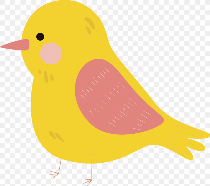 Beak Ducks Birds Water Bird Yellow, PNG, 3000x2667px, Cartoon Bird, Beak, Biology, Birds, Cute Bird Download Free