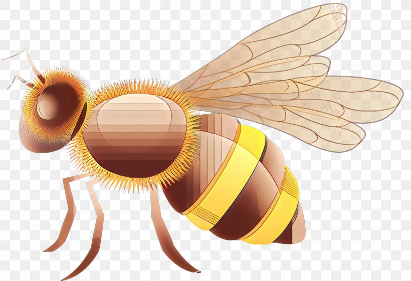 Bumblebee, PNG, 2998x2053px, Cartoon, Bee, Bumblebee, Fly, Honeybee Download Free