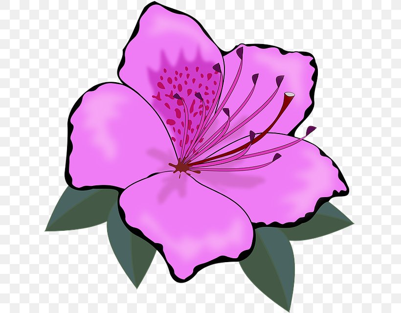 Flowering Plant Petal Pink Flower Plant, PNG, 640x640px, Flowering Plant, Flower, Leaf, Petal, Pink Download Free