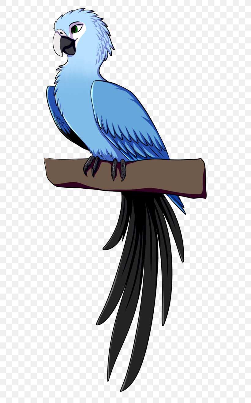 Parrot Bird Spix's Macaw Parakeet, PNG, 606x1318px, Parrot, Art, Beak, Bird, Bird Of Prey Download Free