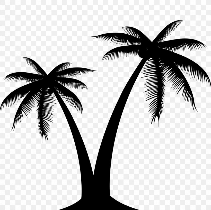 Vector Graphics Clip Art Palm Trees Image, PNG, 1181x1181px, Palm Trees, Arecales, Attalea Speciosa, Blackandwhite, Coconut Download Free