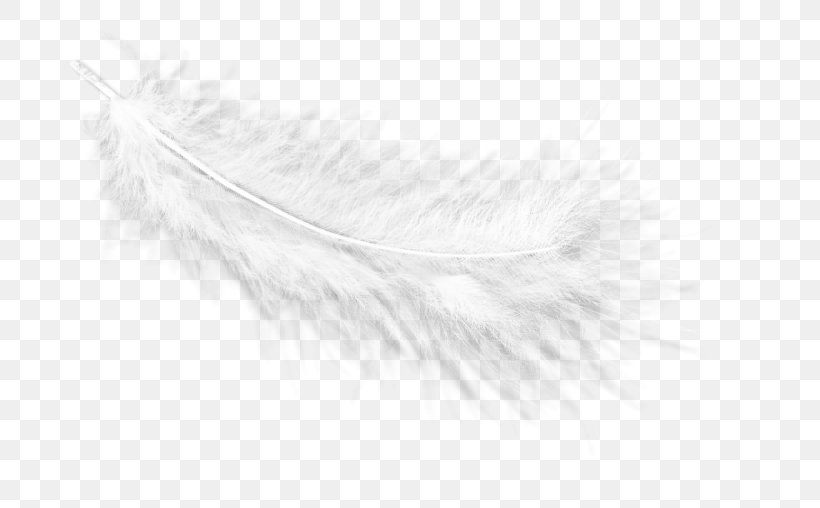 White Feather Eyelash Line, PNG, 750x508px, White, Black And White, Eyelash, Feather, Fur Download Free