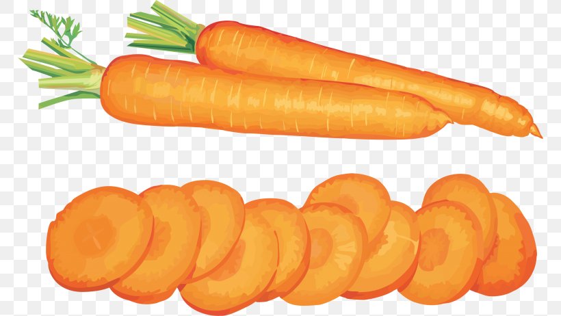 Carrot Salad Desktop Wallpaper Clip Art, PNG, 768x462px, Carrot, Baby Carrot, Bockwurst, Carrot Salad, Diet Food Download Free