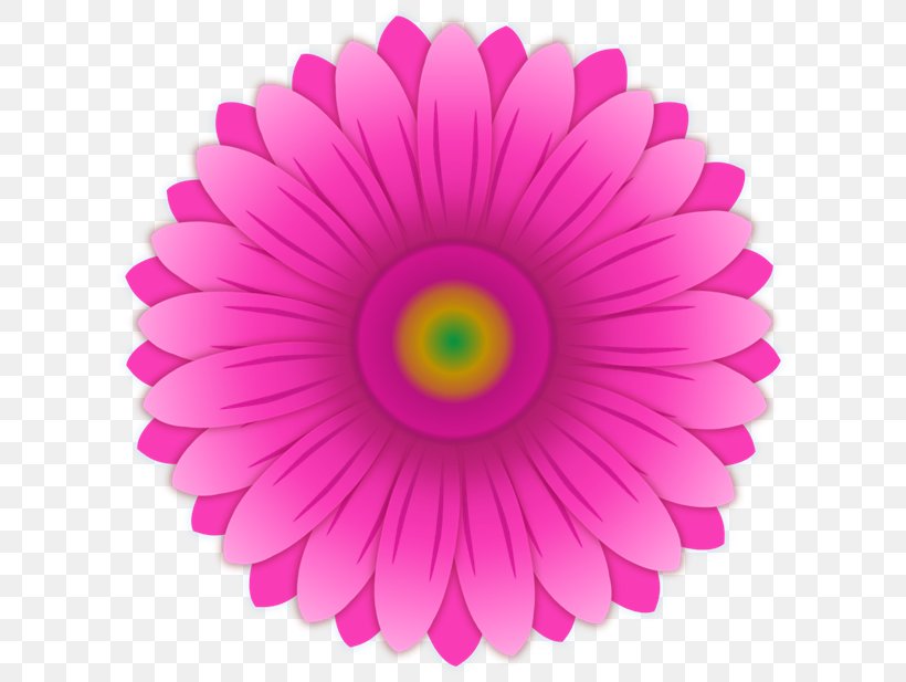 Color Pink Gerbera Jamesonii Common Daisy, PNG, 622x617px, Color, Close Up, Common Daisy, Cut Flowers, Daisy Family Download Free