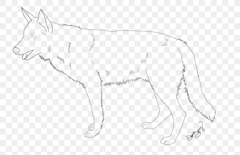 Dog Breed Red Fox Line Art Whiskers, PNG, 800x531px, Dog Breed, Animal, Artwork, Black And White, Breed Download Free