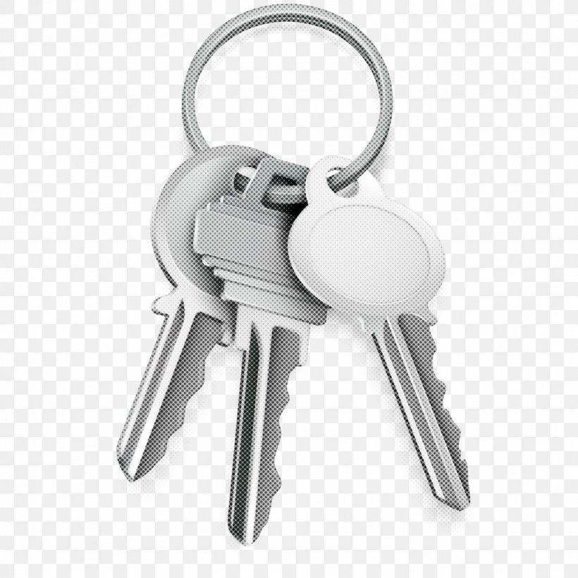 Keychain Key Fashion Accessory, PNG, 1024x1024px, Keychain, Fashion Accessory, Key Download Free