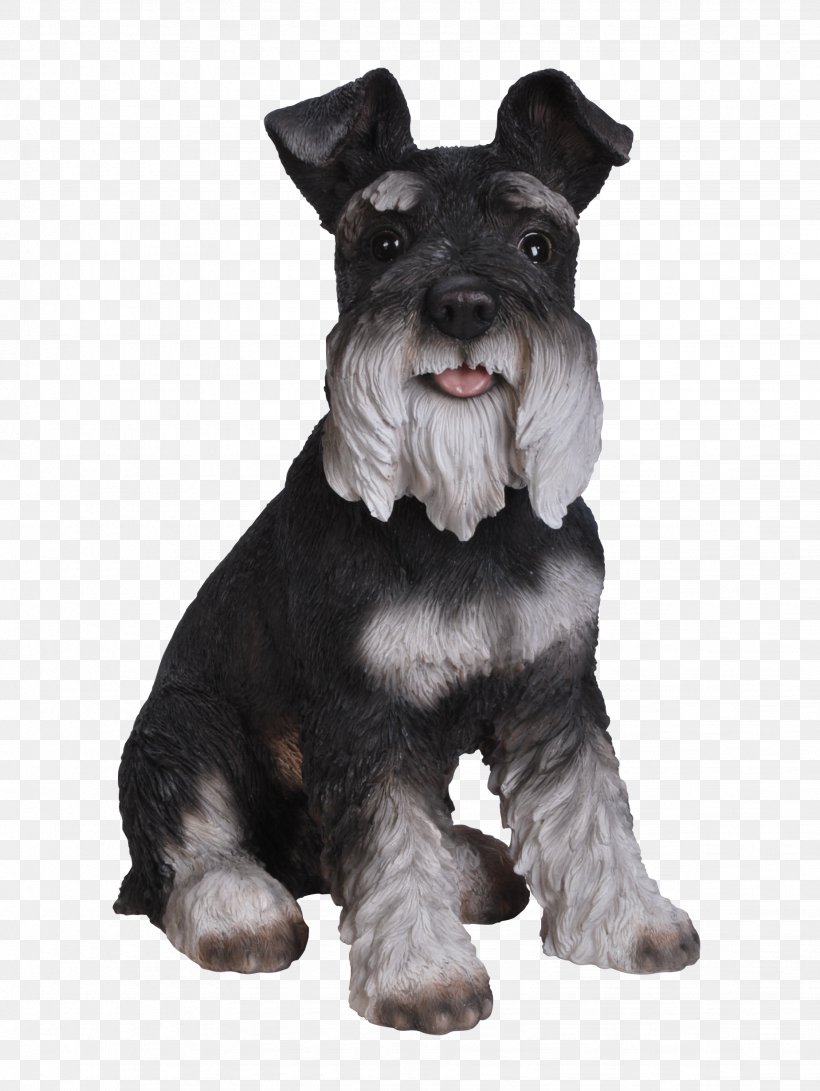 Miniature Schnauzer Standard Schnauzer Scottish Terrier Puppy Cesky Terrier, PNG, 1849x2462px, Miniature Schnauzer, Carnivoran, Cesky Terrier, Companion Dog, Dog Download Free