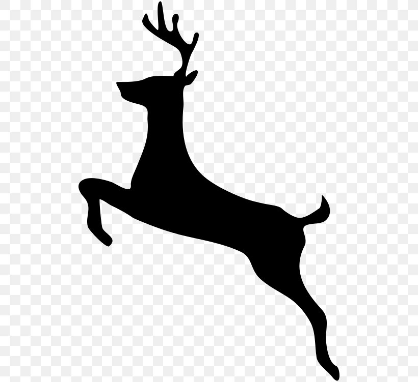 White-tailed Deer Clip Art, PNG, 512x751px, Deer, Antler, Art, Black And White, Deer Hunting Download Free