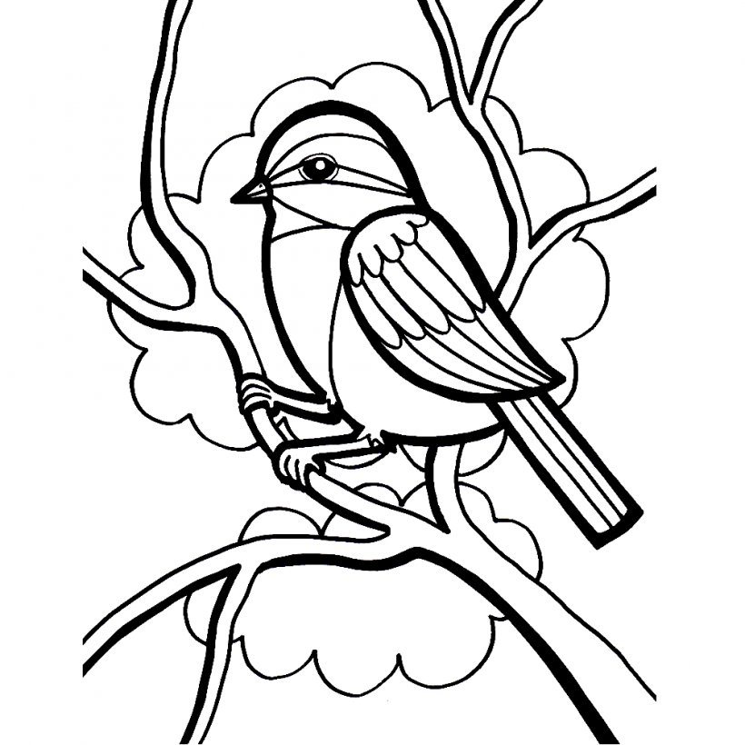 Bird Parrot Owl Coloring Book Penguin, PNG, 1000x1000px, Bird, Adult, Art, Artwork, Beak Download Free